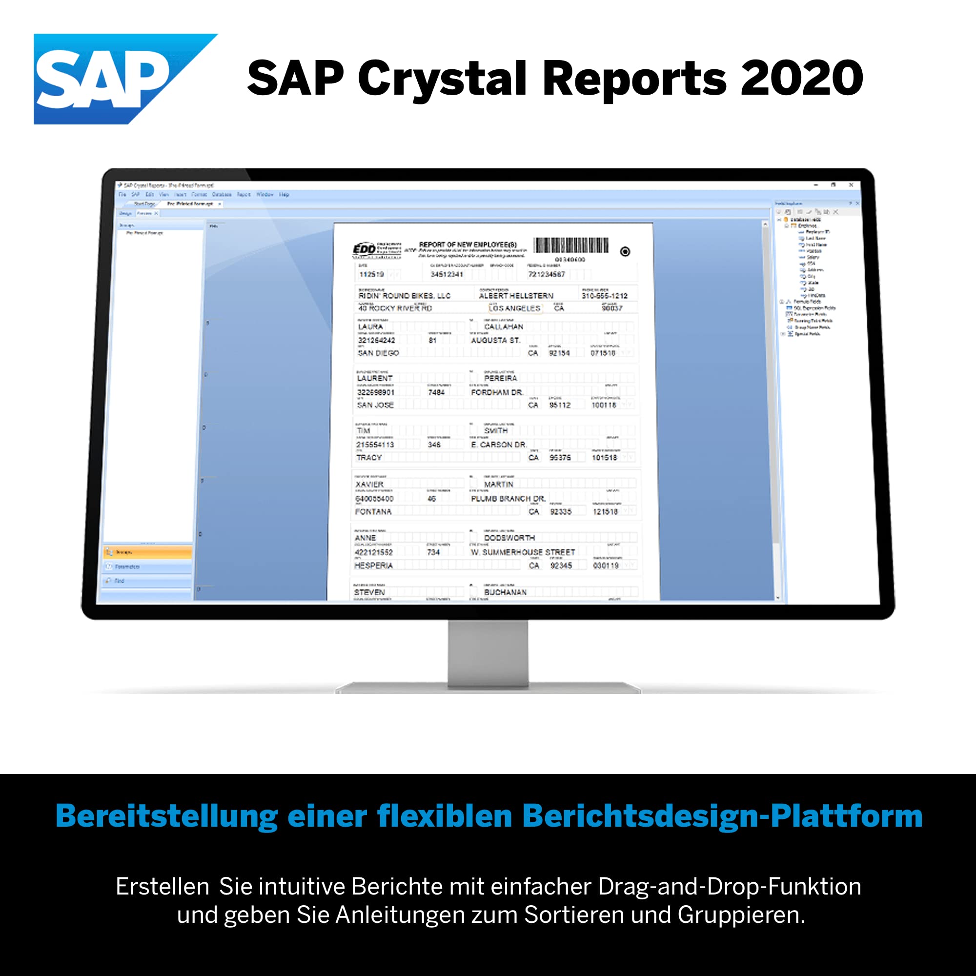SAP Crystal Reports 2020 Reporting software | Standard | PC | PC Aktivierungscode per Email