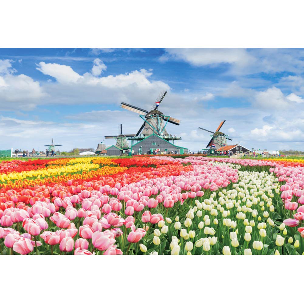 DORCEV 5x3ft Dutch Tulip Flower Field Backdrop Tulip Blossom Windmill Blue Sky White Clouds Photography Background for Wedding Party Decor Banner Newlyweds Portraits Photo Studio Props