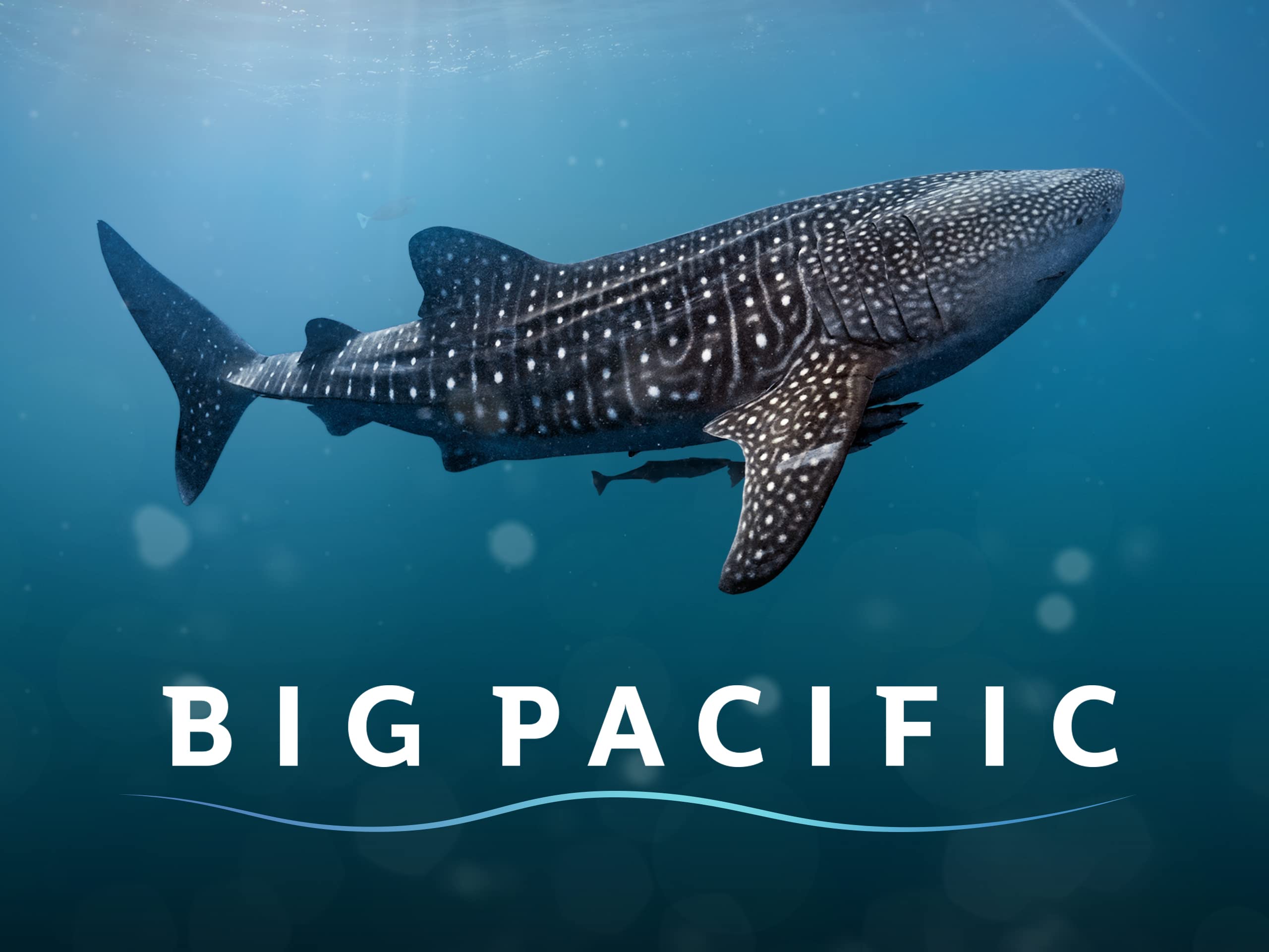 Big Pacific (TV Series)