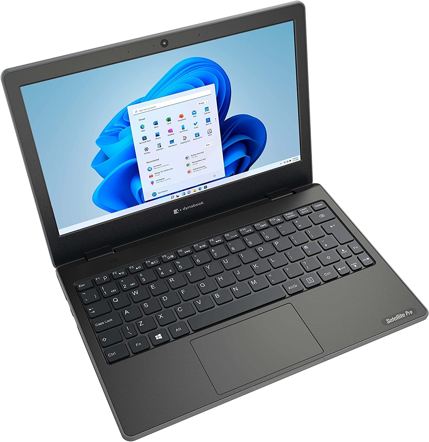 dynabook Toshiba Satellite Pro E10-S-103 - Celeron N4020 / 1.1 GHz