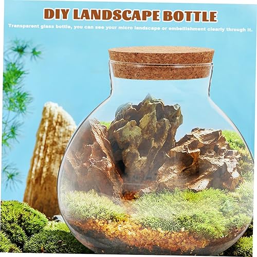 Miniatura 8 de Angoily Elegante botella de musgo de vidrio, 2 piezas, botella redonda de terrario, tapón de madera blanda para decoración del hogar u oficina