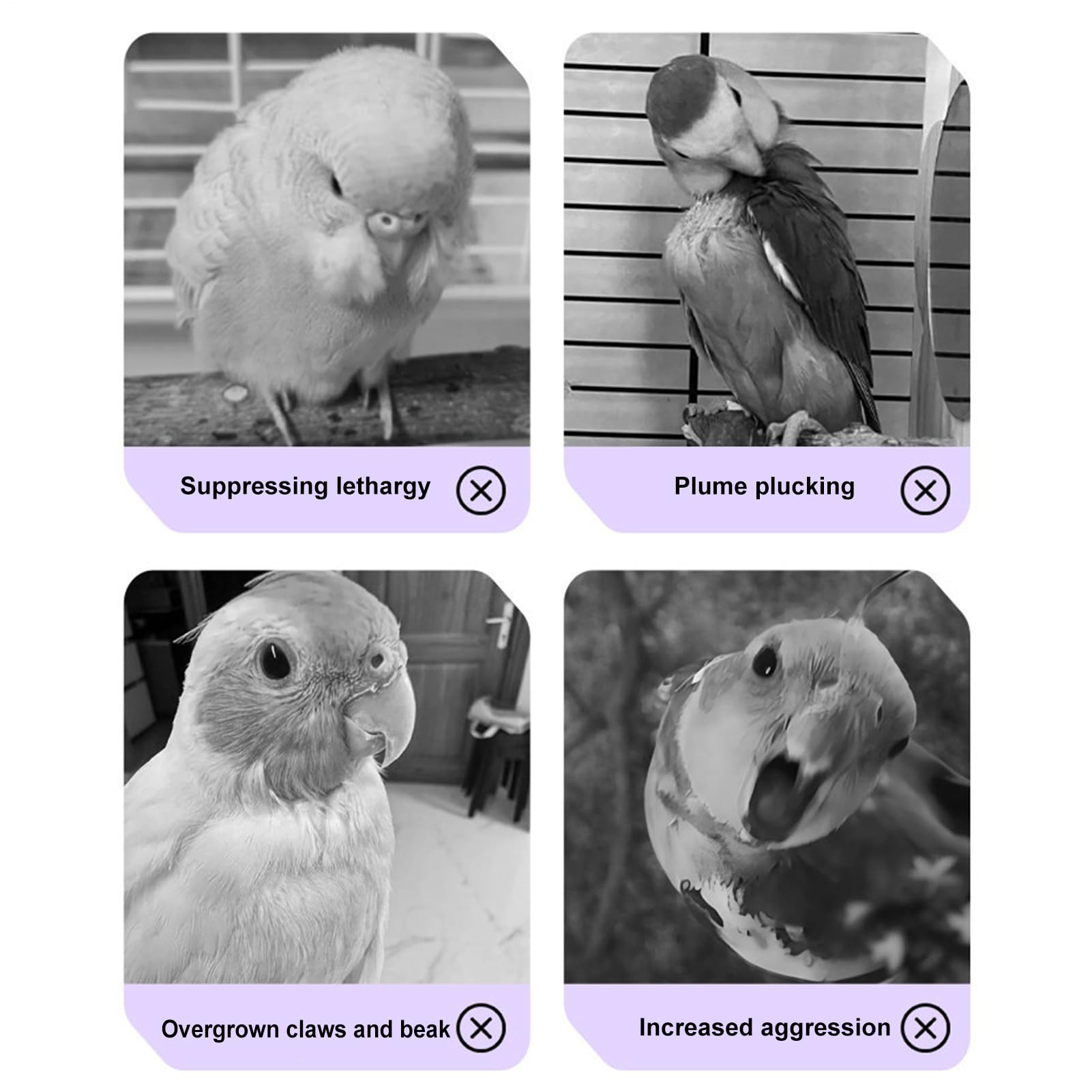 Bird Puzzle Feeder | Interactive Boredom Relief Toy, Wooden Foraging Board Encouraging Slow Eating Mental Stimulation Parakeet Cockatiel African Grey Conure Enrichment Accessory - image 8