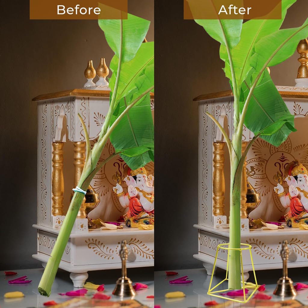 TrustBasket Banana Stand/Holder for Pooja - Gold (Set of 2), Metal 4