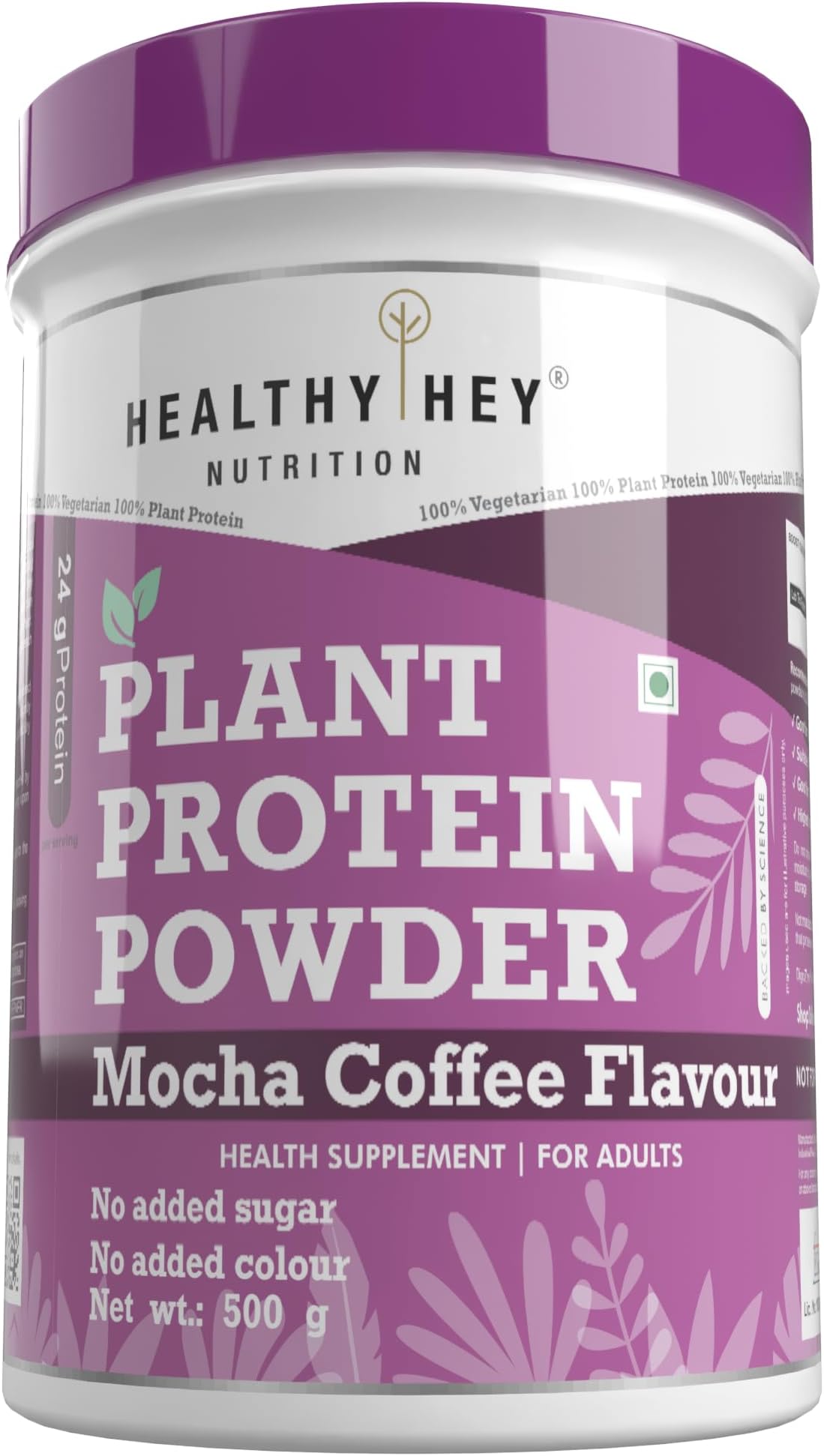 HealthyHey Nutrition Plant Protein Powder, Protein, Low Net Carbs, Non Dairy, Gluten Free, Lactose Free, No Sugar Added, Soy Free, Non-GMO - 500gm (Mocha Coffee)