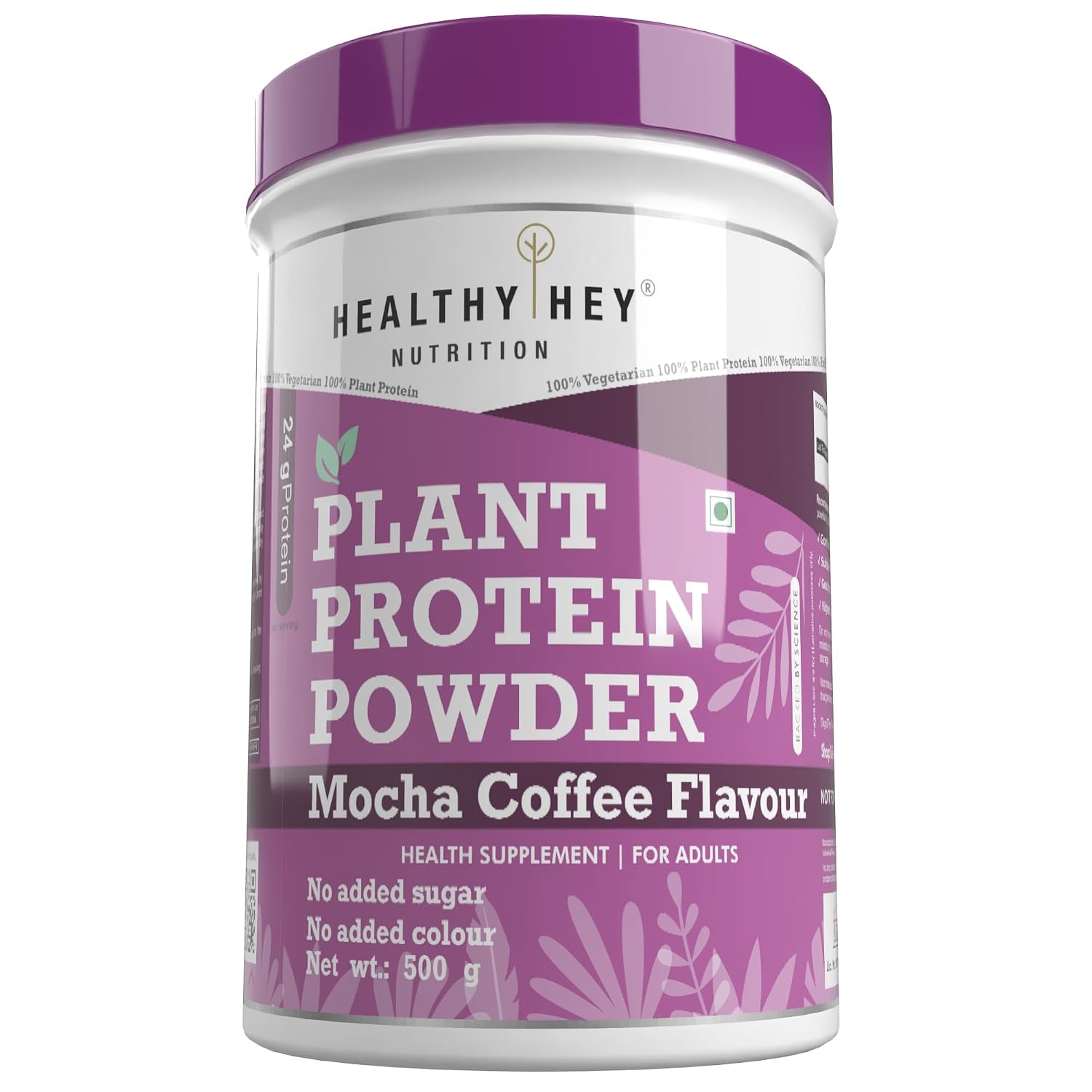 HealthyHey Nutrition Plant Protein Powder, Protein, Low Net Carbs, Non Dairy, Gluten Free, Lactose Free, No Sugar Added, S... - Review, Price and Buying Guide