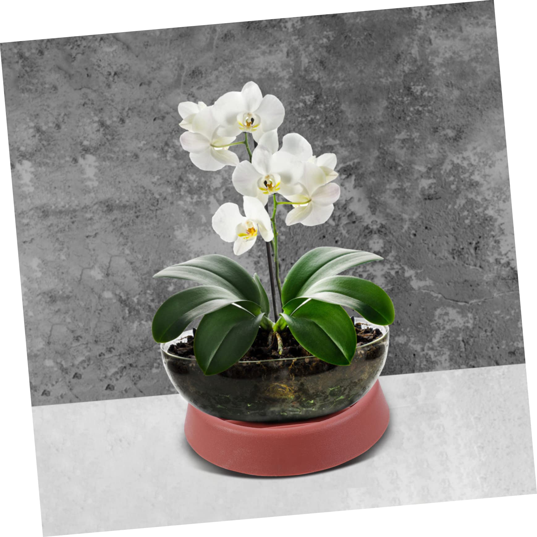 Yardwe 3 Set Vaschetta dell'Acqua Piante Giardino Esterno Vaso di Fiori Vassoi Punte Autoirriganti Fioriere Autoirriganti Sottovasi da Fiori Fioriera Rotonda Pianta Plastica 4 Pezzi * 3