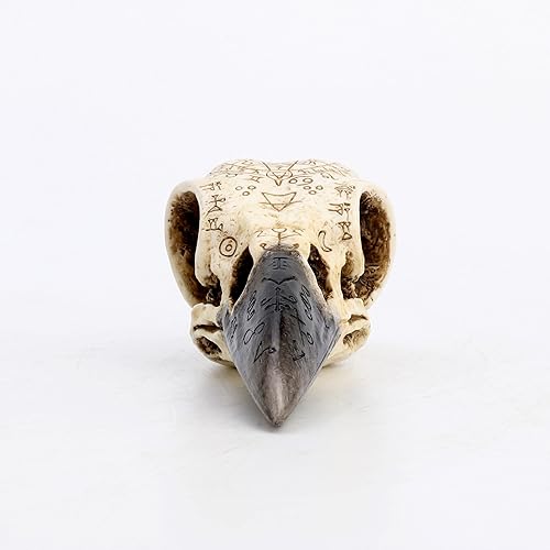 Miniatura 4 de Veronese Design Escultura animal de resina para decoración del hogar de 6 1/4 pulgadas, ritual oculto, cráneo de cuervo, Wtichcraft