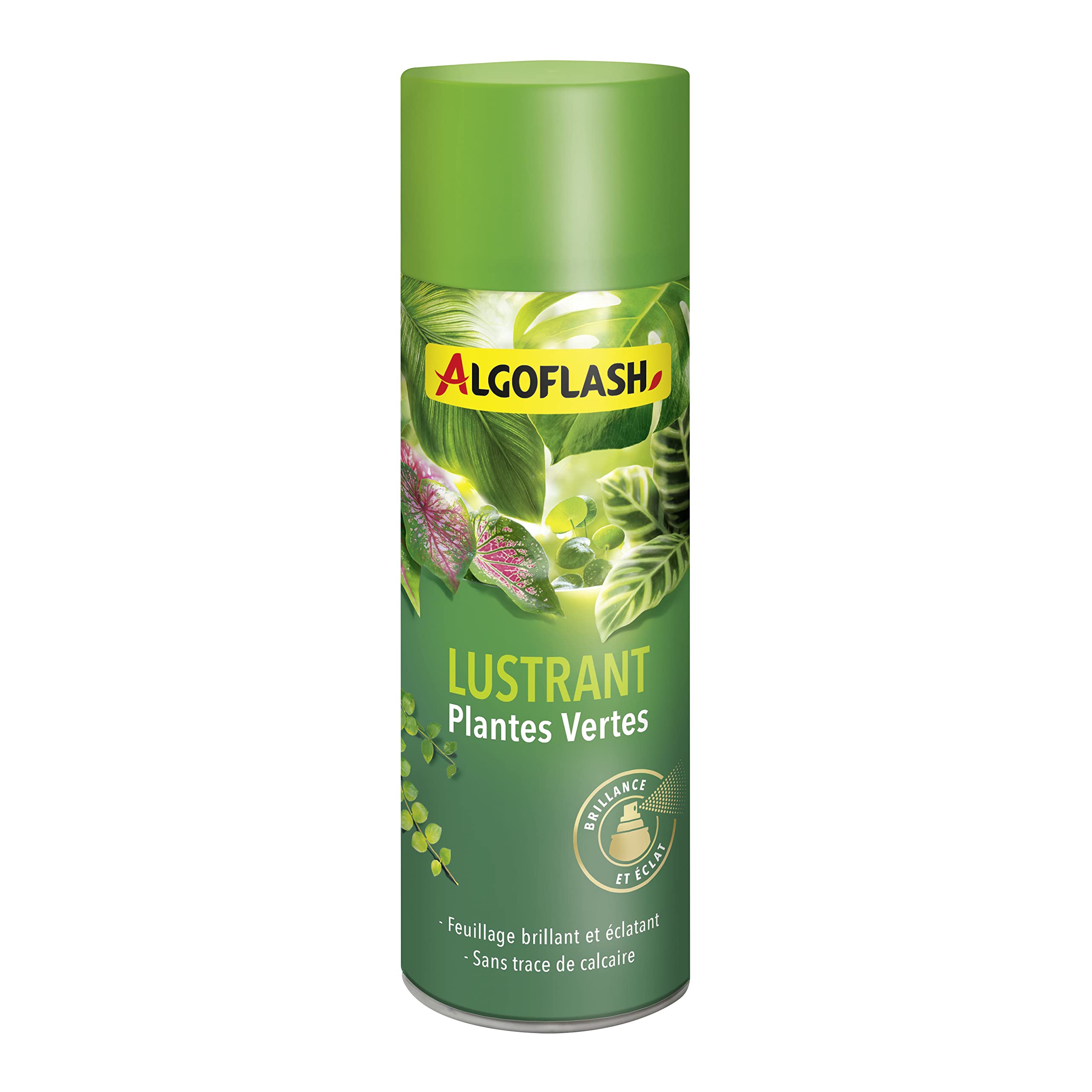 ALGOFLASH Lustrant Plantes Vertes, Brillance et Éclat, Prêt à l'Emploi, 250 mL, ALUSTR250R