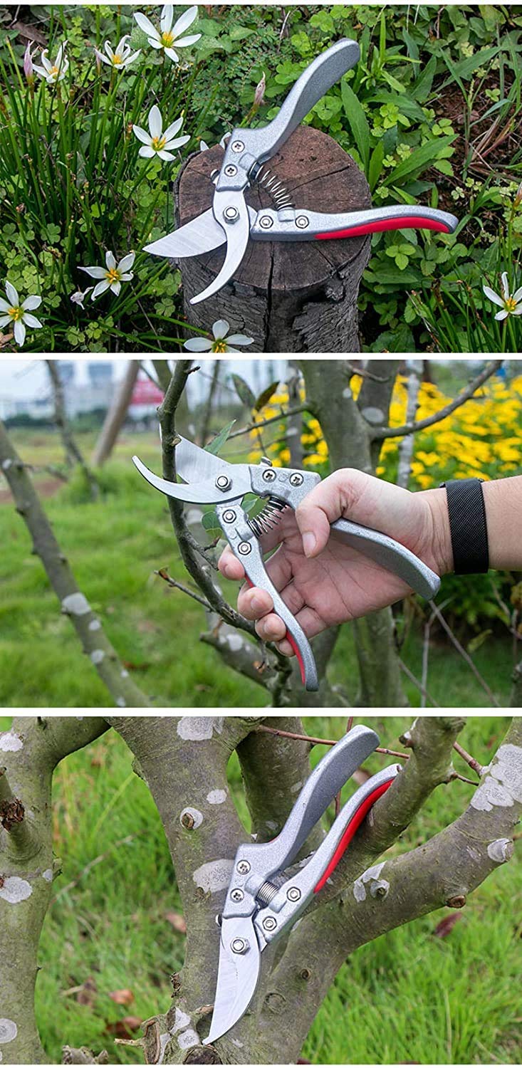 Tijeras de poda para ramas finas - Diseño Exclusivo y Elegante