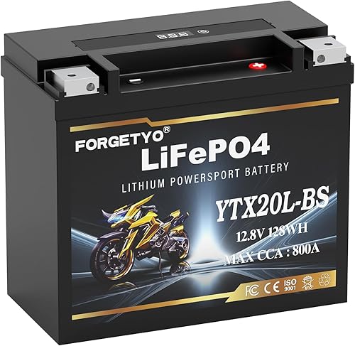 Batería de litio YTX20L-BS, 850A LiFePO4 para motocicleta, 12V 12AH ATV, UTV, Jet Ski, 4 ruedas, moto de nieve, tractor, generador y batería para
