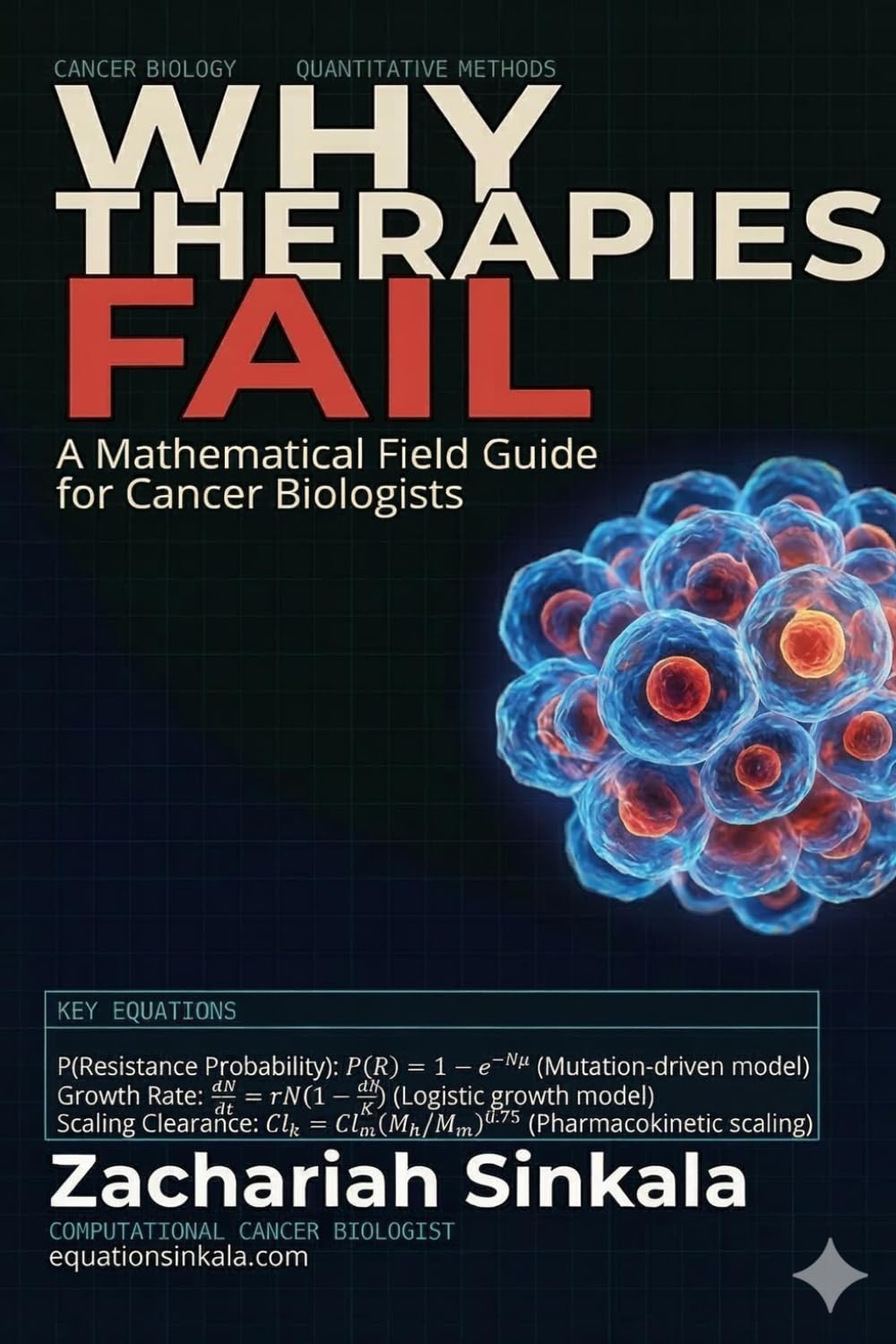 Why Therapies Fail: A Mathematical Field Guide for Cancer Biologists
