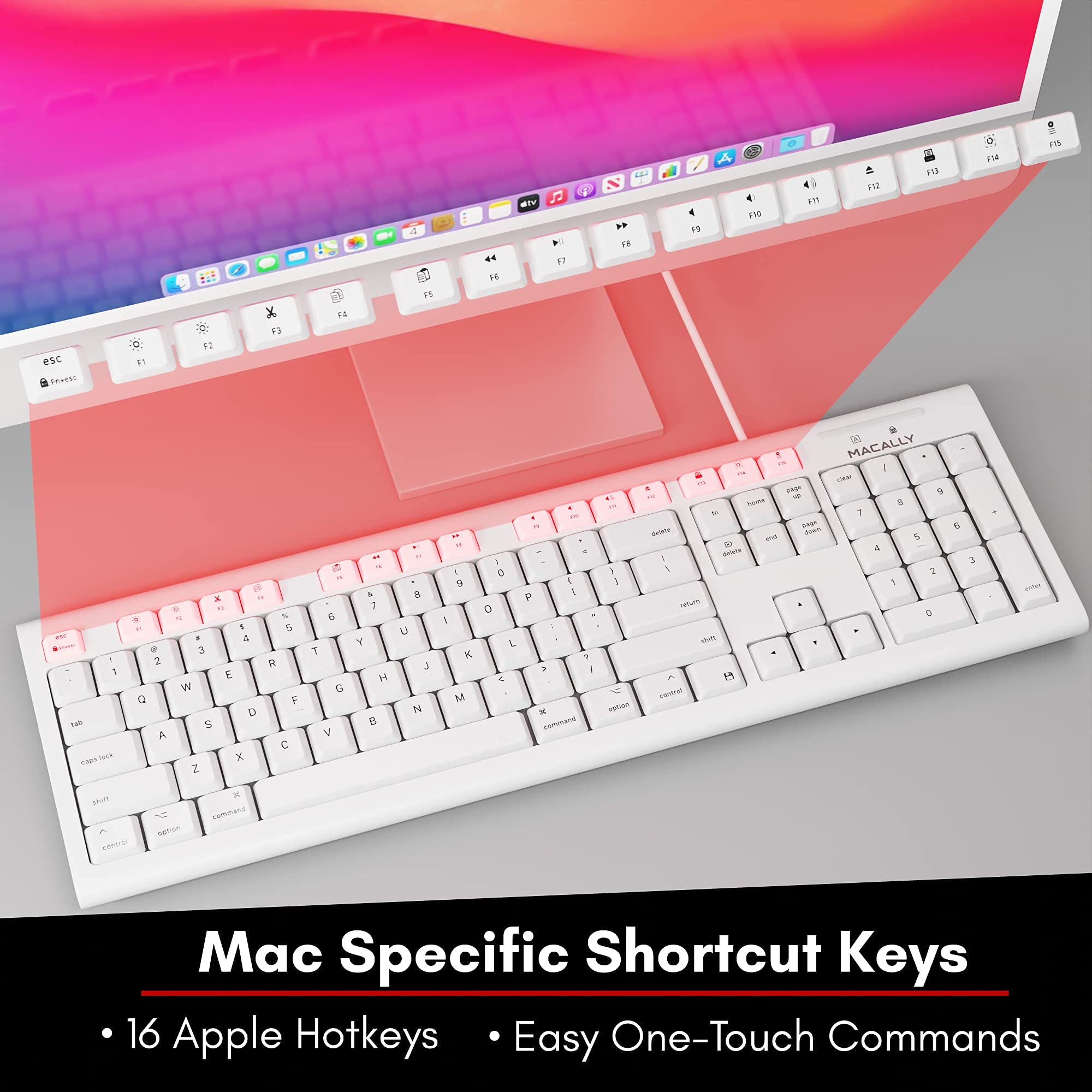 Amazon.com: Macally Extended Wired Keyboard and Mouse Combo