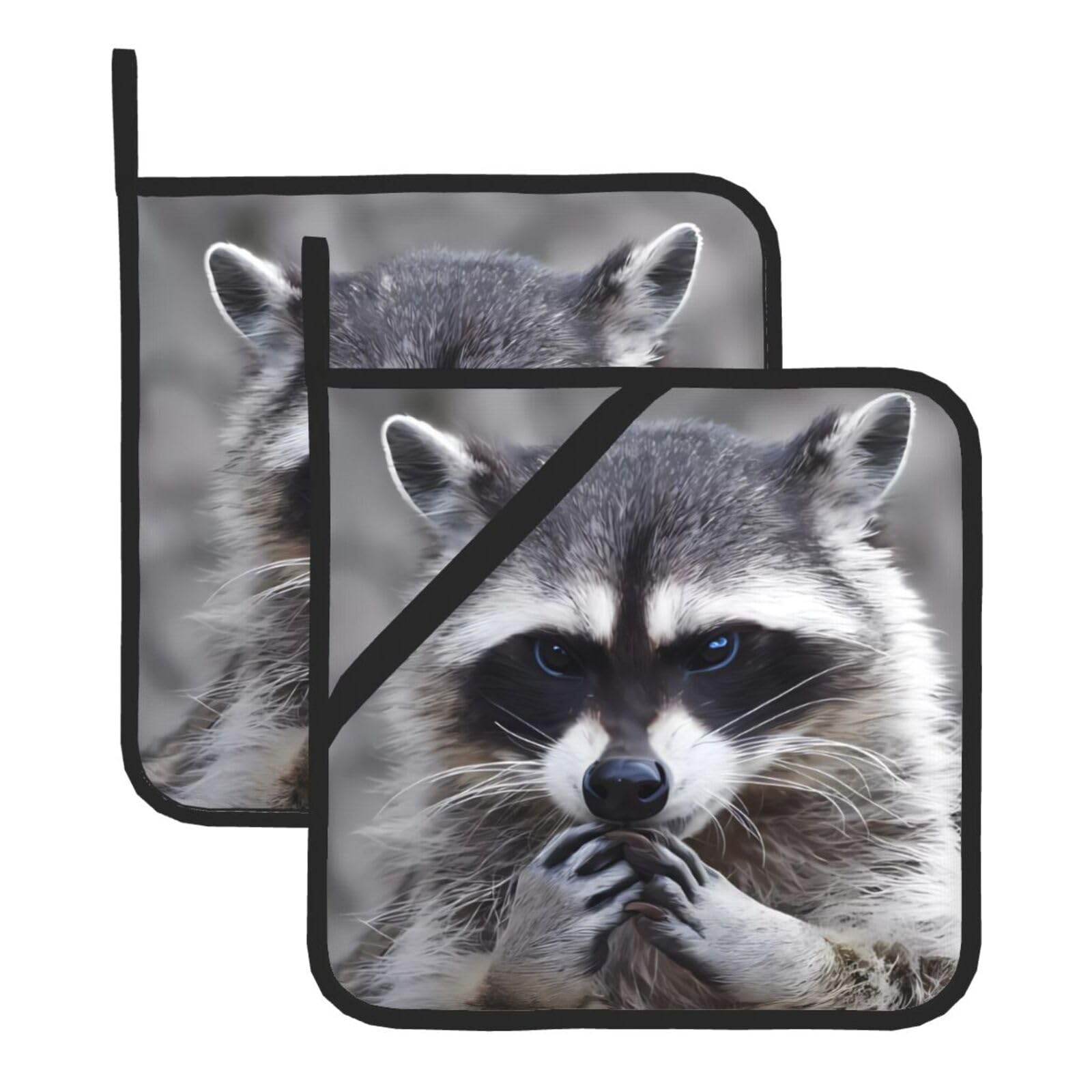 WHJDPP Cute Raccoon Prints Square Hot Pads for Kitchen Counter - Waterproof Pot Holders Set of 2, Heat Resistant Trivets with Pocket & Hanging Loop for Serving, Oven & BBQ