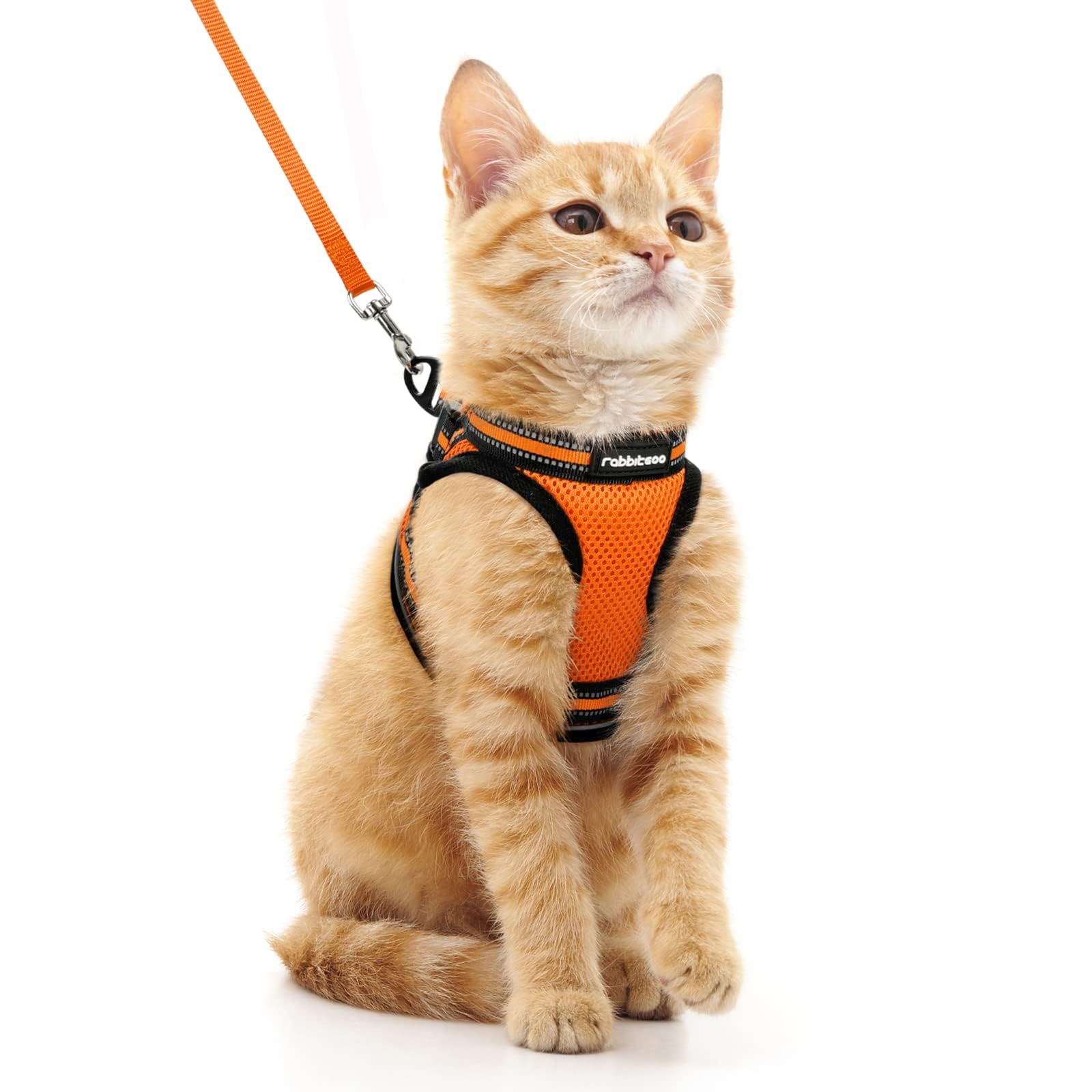 rabbitgoo Cat Harness and Leash Set for Walking Escape Proof, Adjustable Soft Kittens Vest with Reflective Strip for Cats, Comfortable Outdoor Vest, Black, Small — view 36