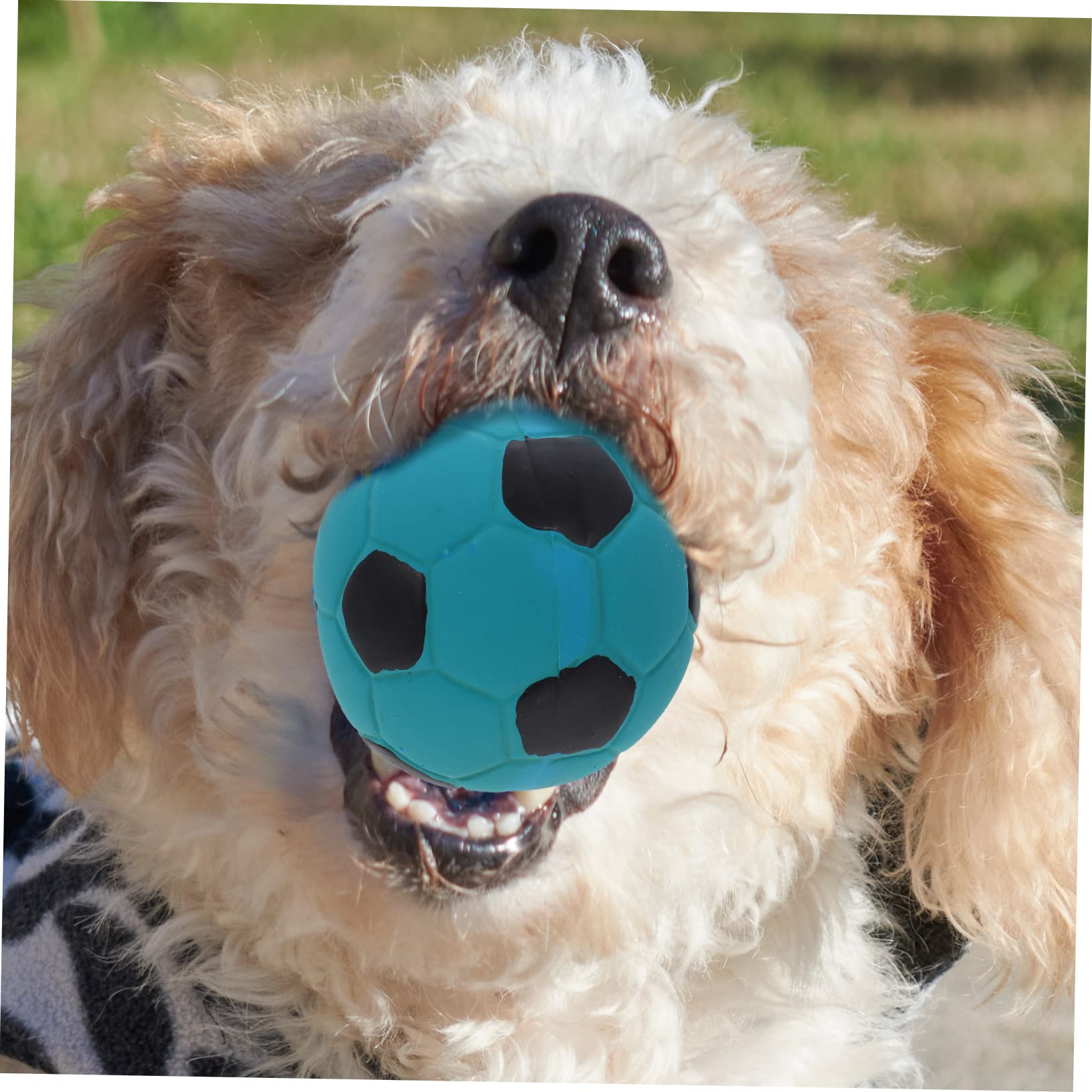 Beavorty 12stücke Interaktive Gummibälle Für Hunde Langlebige Kauspielzeuge Zur Zahnreinigung Und Stressbewältigung Für Welpen Weiche Geräuschmachende Spielzeuge
