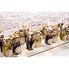 Product Photo 5