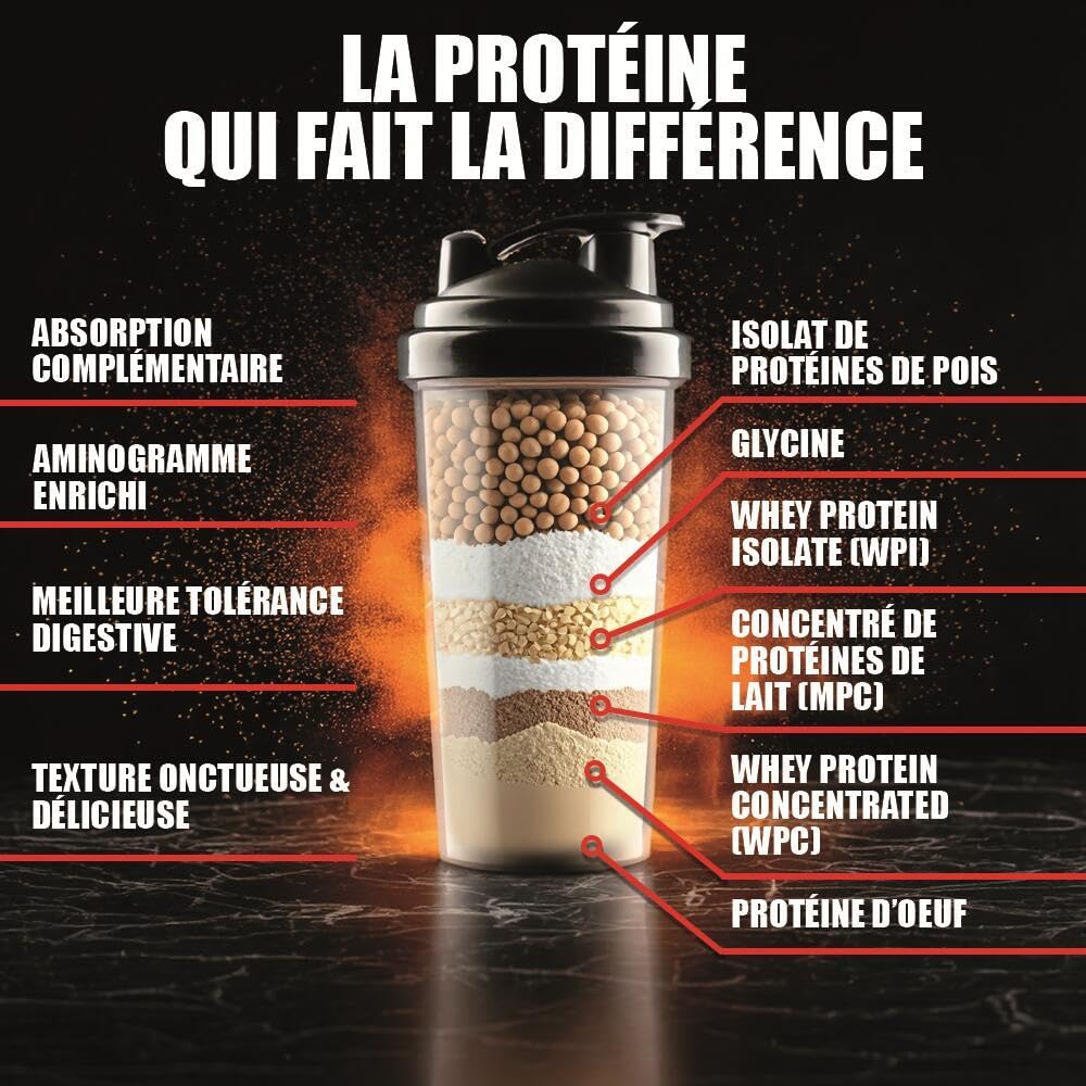 ISO FUSION - 81% de protéines, 9g d’EAA dont 4g de BCAA par shaker - Complexe 5 sources - Haute Digestibilité & Absorption - Faible en Sucres - 2kg - Saveur Cookie - Eric Favre