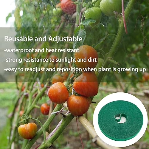 Miniatura 4 de Plant Ties - Cinta verde para plantas de jardín, 0.57 pulgadas de ancho, reutilizable, ajustable, correa de jardinería, soporte para plantas de