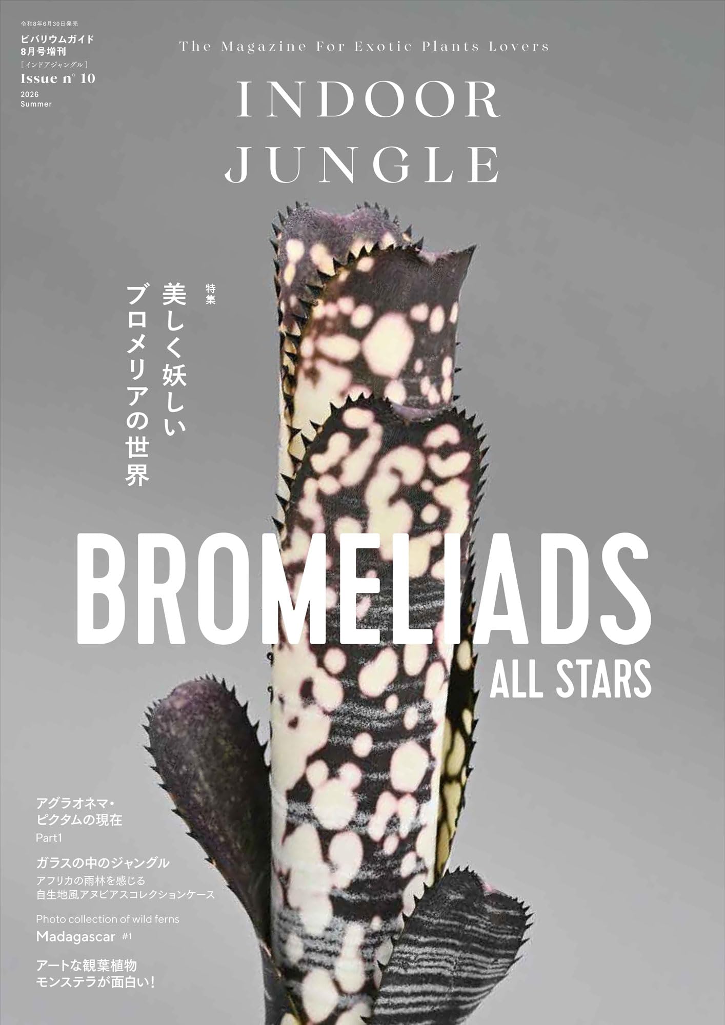 INDOOR JUNGLE 雑誌 3冊セット INDOOR JUNGLE（インドアジャングル） 10 2026年 08 月号 美しく妖しい