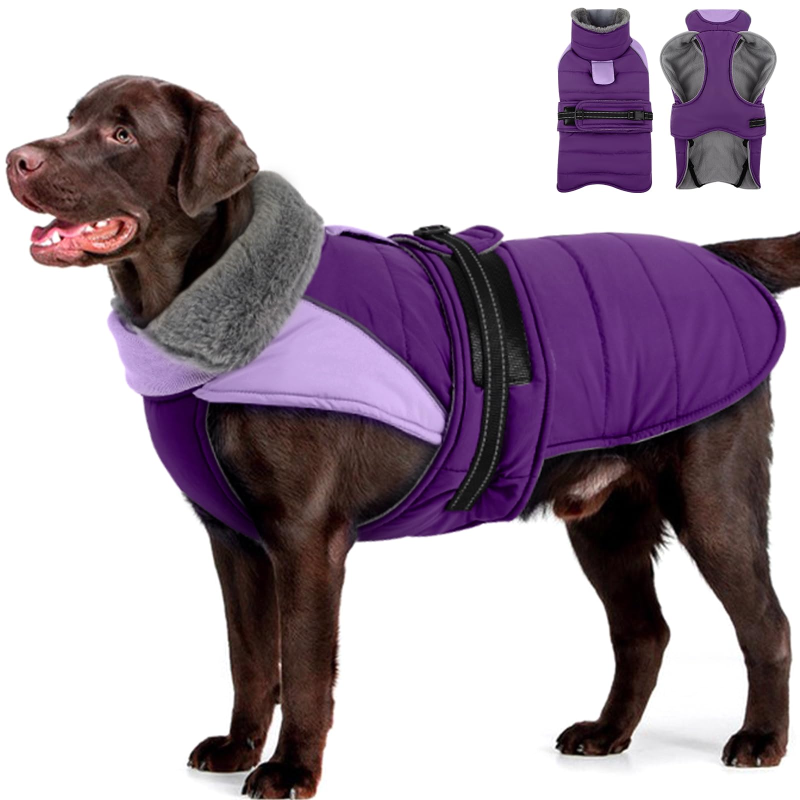 MIGOHI Warm Large Dog Coat, Waterproof Dog Winter Jacket, Purple, XXL