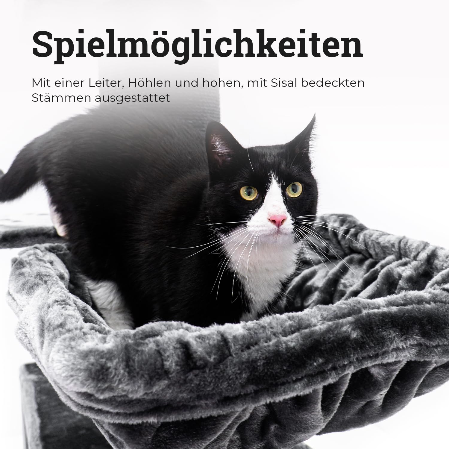 Petrebels Maine Coon Kratzbaum XXL 2 Meter hoch, Katzenbaum für große Katzen, extra stabil für mehrere Katzen, 2 Hängematten, 2 Katzenhöhlen, Siberian 200, Kletterbaum Dicke Stämme 20 cm, Schwarz