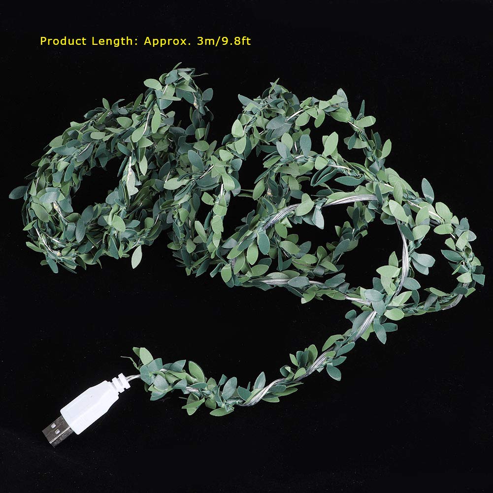 View 7