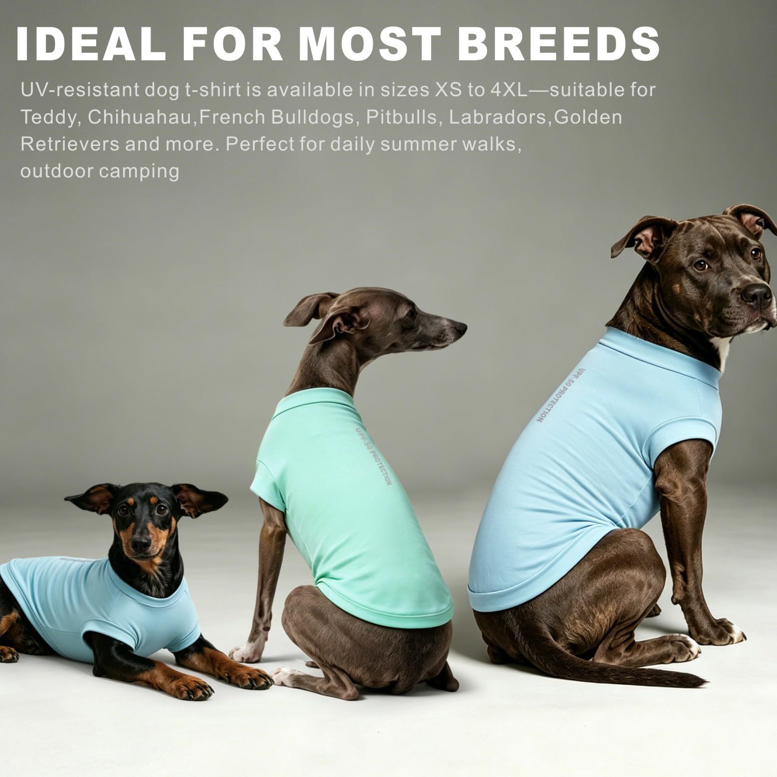 Camisa Perro protección UV 2Pack, Camiseta Ligera Perro Chaleco enfriamiento Secado rápido Ropa Verano Mascotas Confort Perros Camisas Sol para Perros pequeños y medianos Gatos Grandes