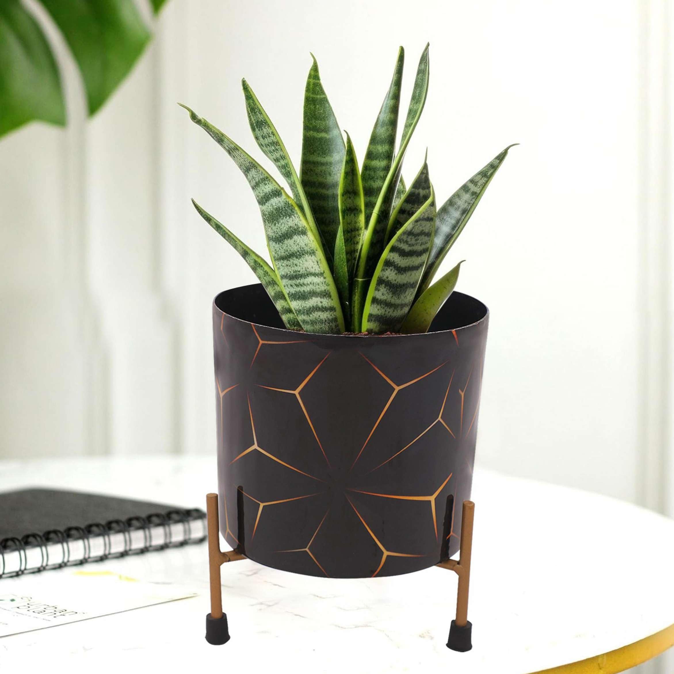 GIFTED GARDEN Gold Metal Pots for Indoor Plants with Drainage Hole | Designer Flower Pot & Planters for Home Décor, Living Room, Kitchen, Bedroom, Table Top, Office, Gifting (1 Pack) (B0D6FZJ1MY) Amazon Price History, Amazon Price Tracker