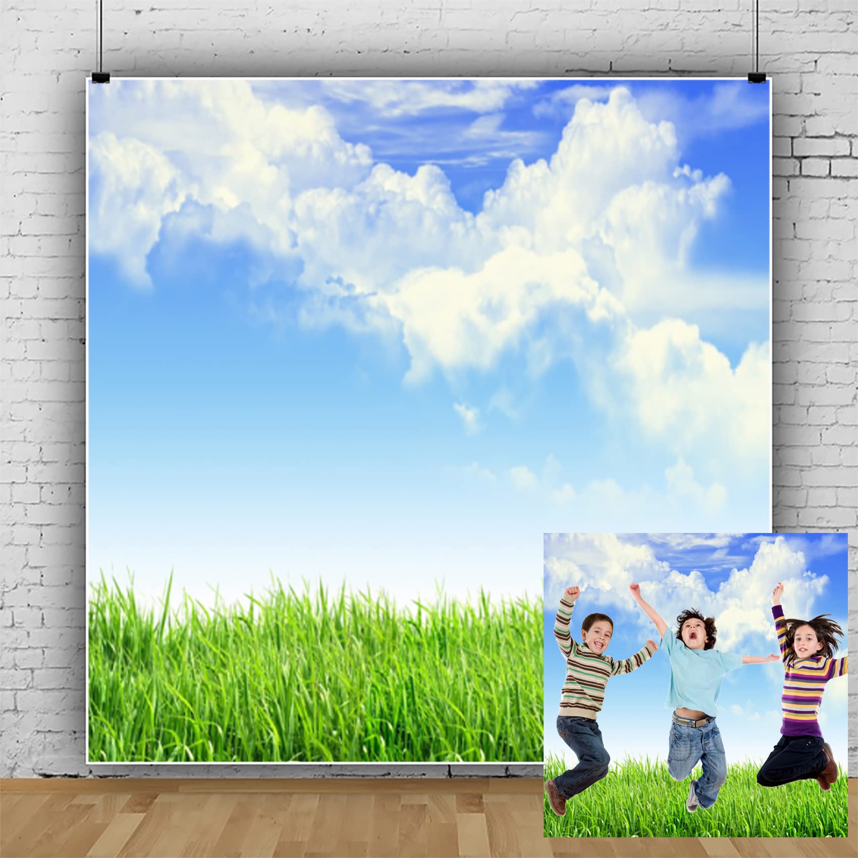 Leyiyi 10x10ft Spring Grassland Photography Background Gardening Plant Meadow Sky Cloud Light Spot North Prairie Backdrop Nature View Outdoor Activity