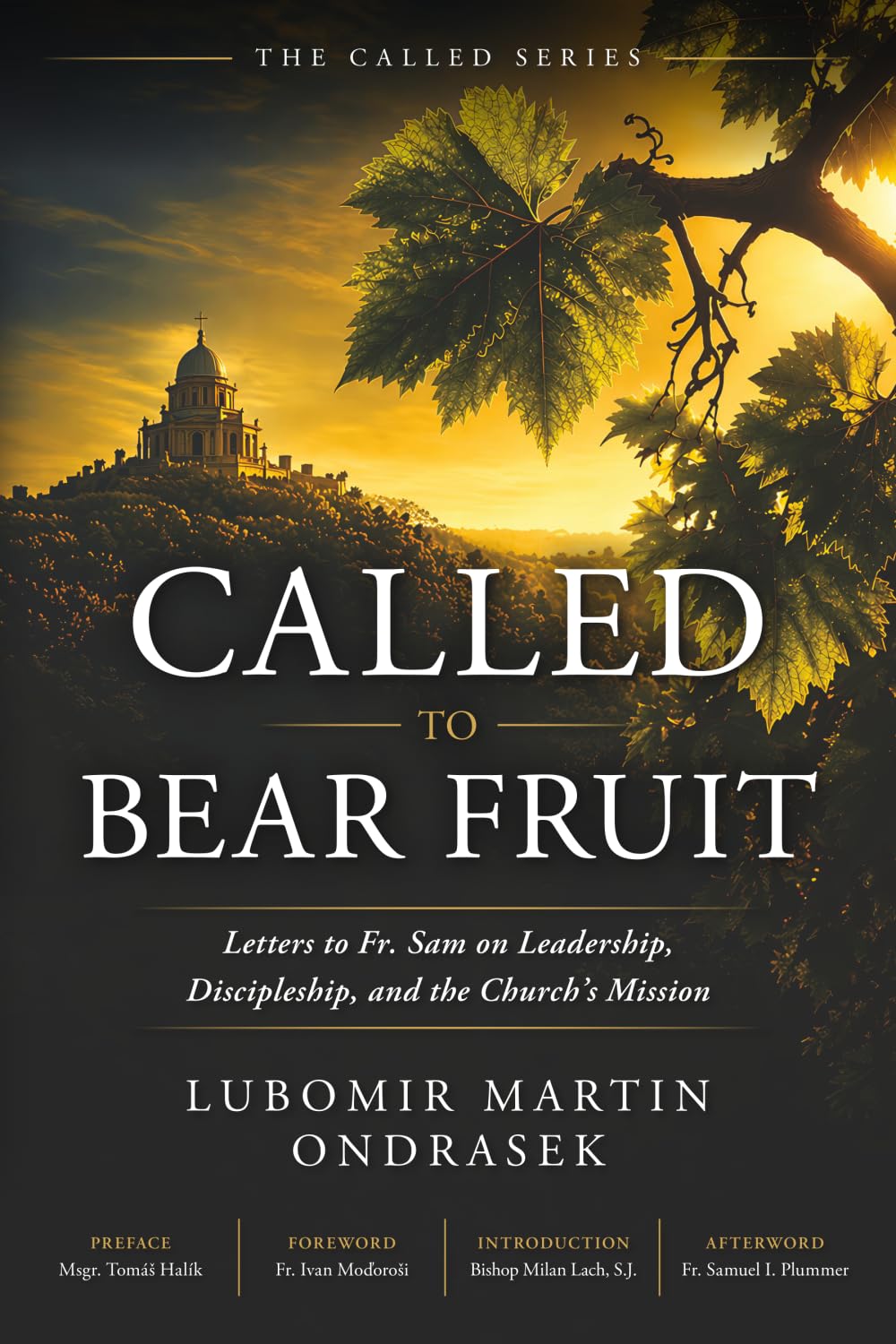 Called to Bear Fruit: Letters to Fr. Sam on Leadership, Discipleship, and the Church's Mission