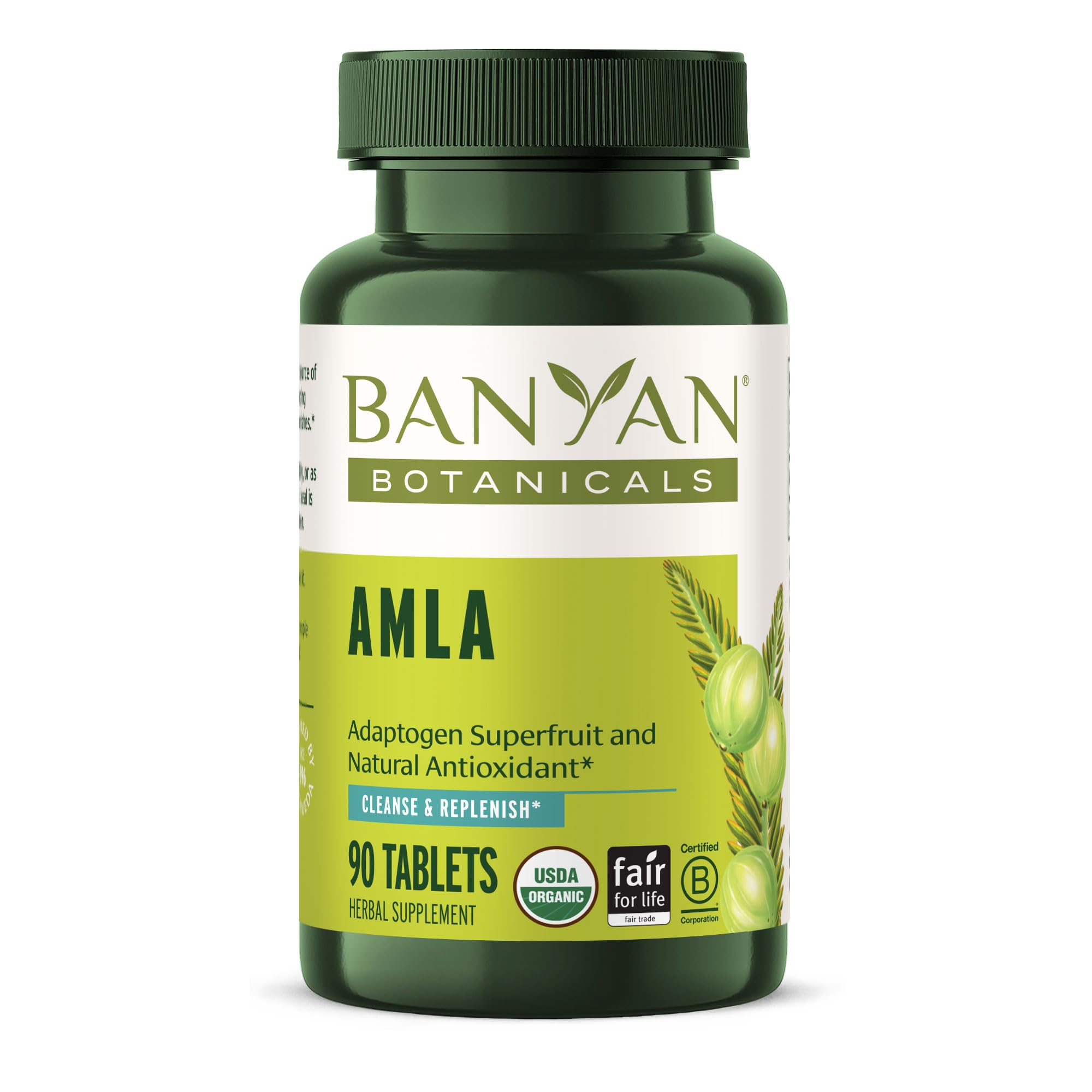 Banyan Botanicals Organic Amla Tablets - Natural Vitamin C for Collagen Support & Immune Health - Amalaki Indian Gooseberry for Glowing Skin, Hair & Healthy Digestion - 90 Tablets - Non-GMO, Vegan*