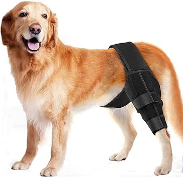 Dog Knee Brace for Torn ACL Hind Leg, Adjustable Front Back Leg Support Vet-Recommended Dog Joint Protection Arthritis Pain Relief Recovery Brace for Small Medium Large Dogs