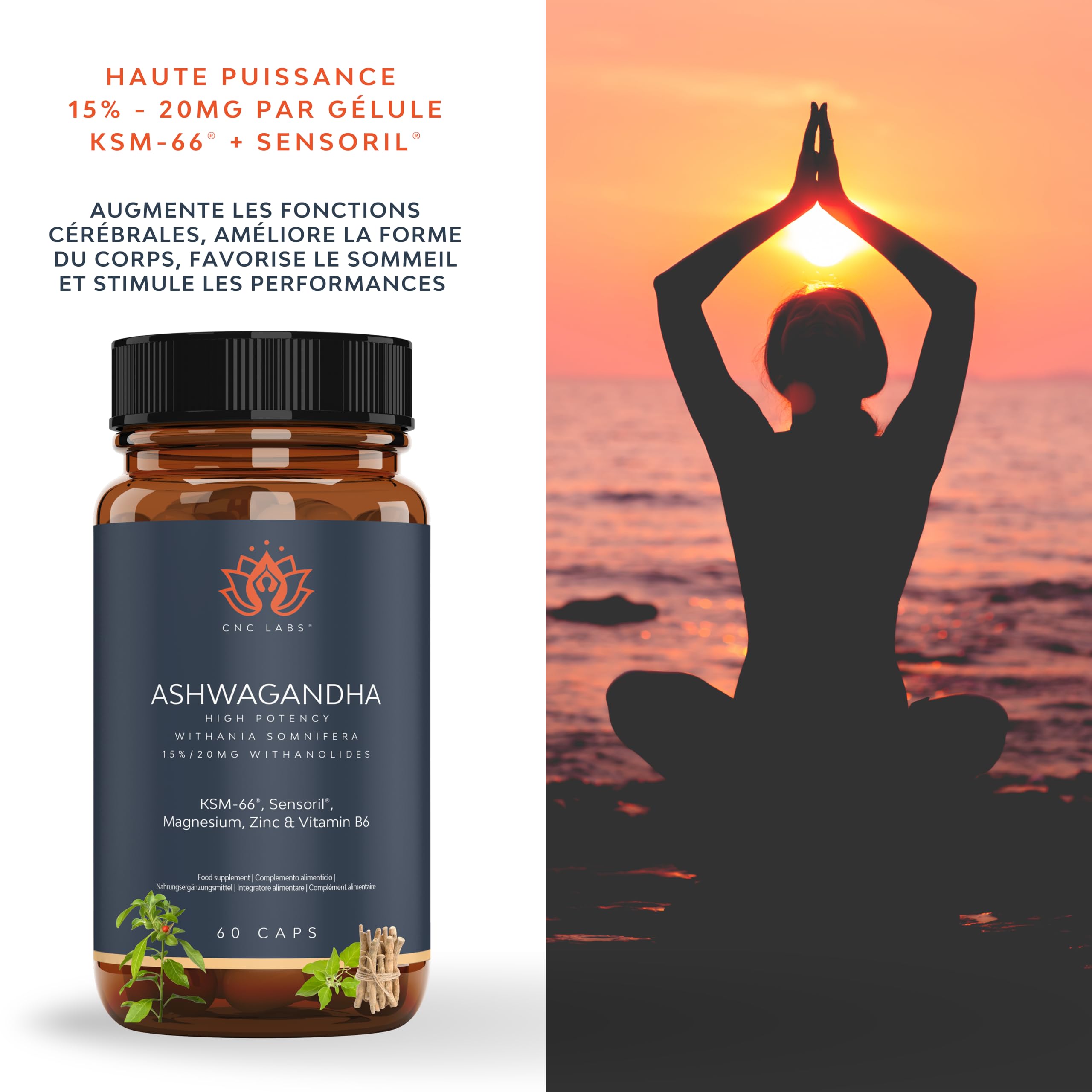 Ashwagandha KSM-66 + Sensoril (15-20% Withanolides) Adaptogène et Nootropique pour un Sommeil Profond, le Bien-être, l'Énergie, Cortisol | 2 mois