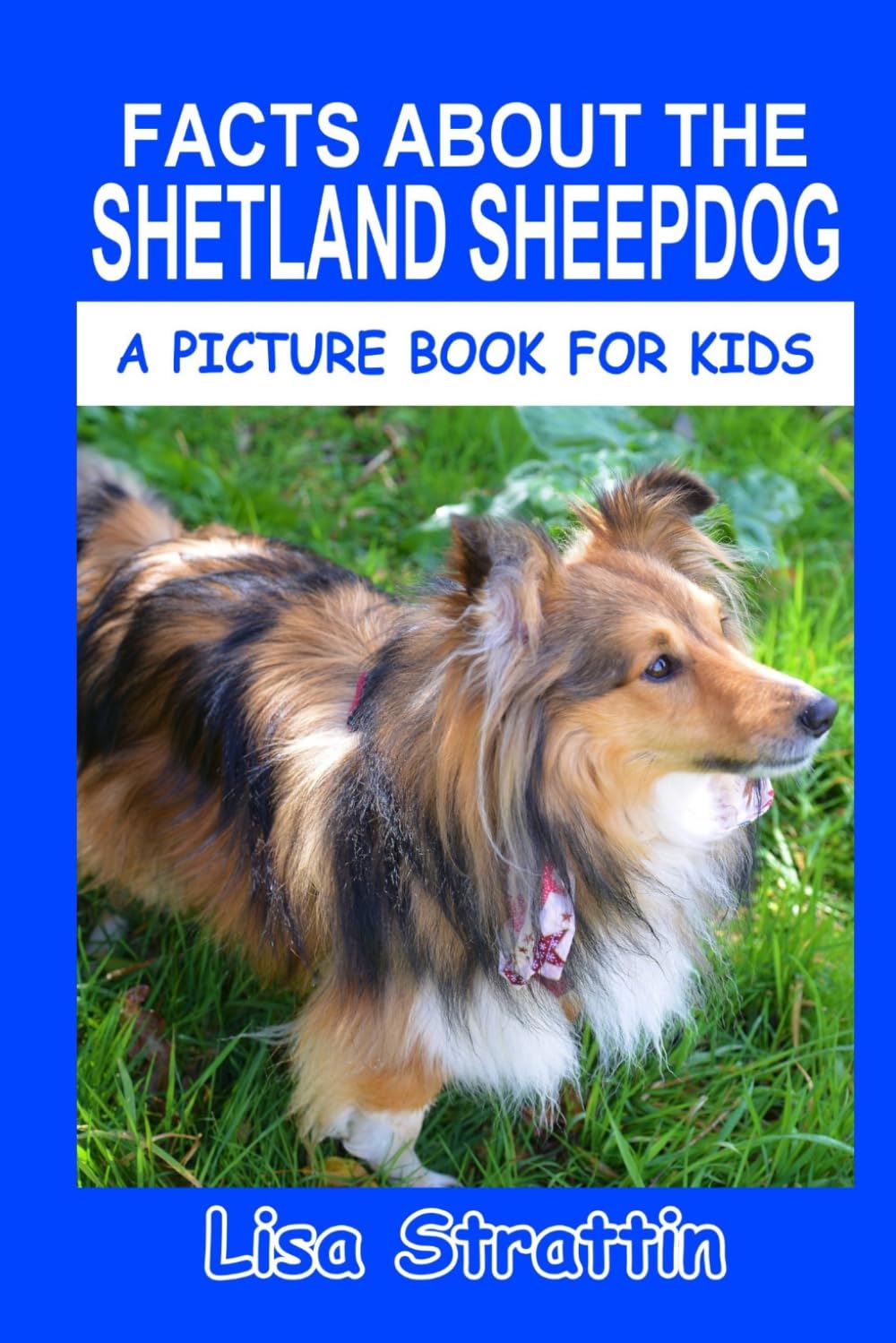Facts About the Shetland Sheepdog (A Picture Book For Kids)