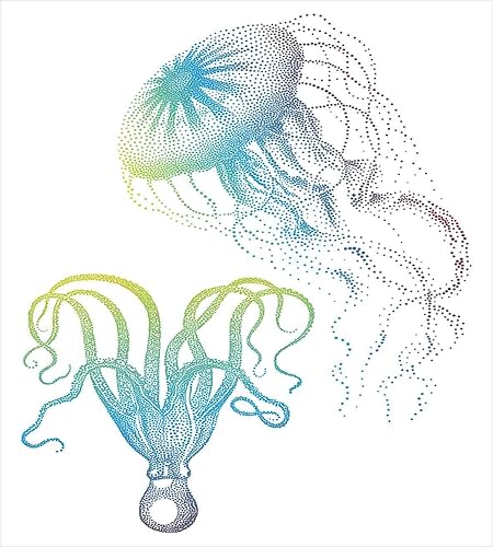 Miniatura 522 de Ambesonne Juego de funda de edredón de brújula, ilustración de mapa del mundo, marinero marítimo, equipo de vida monocromático, juego de ropa