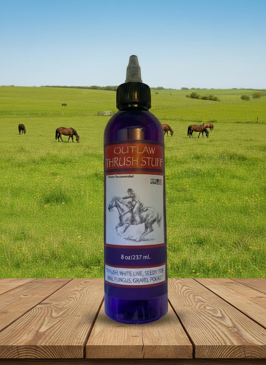 Outlaw Thrush Stuff – Fast-Acting Thrush Treatment for Horses – Non‑Stinging, Farrier‑Approved Formula with Unique Features – Works in Wet Conditions – Cleans, Dries & Protects Hooves - image 4