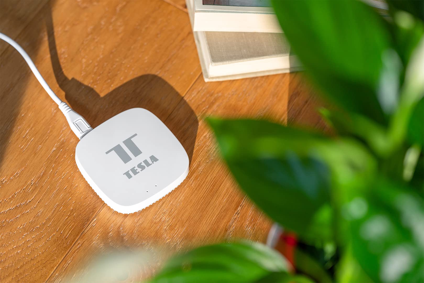 TESLA ZigBee Smart Hub