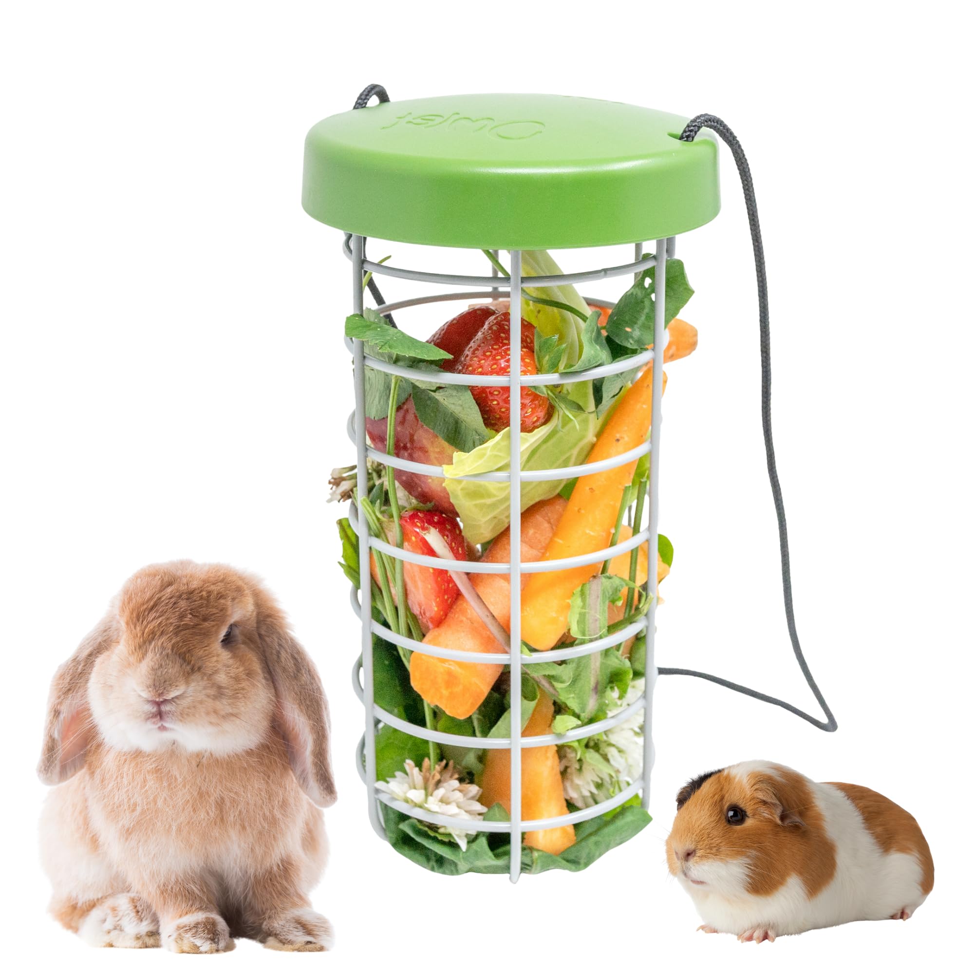Omlet Caddi Rabbit Treat Holder | Strong and Durable Hay Rack for Small Animals | Interactive Toy | Attaches Easily to Any Rabbit Run | Durable Welded