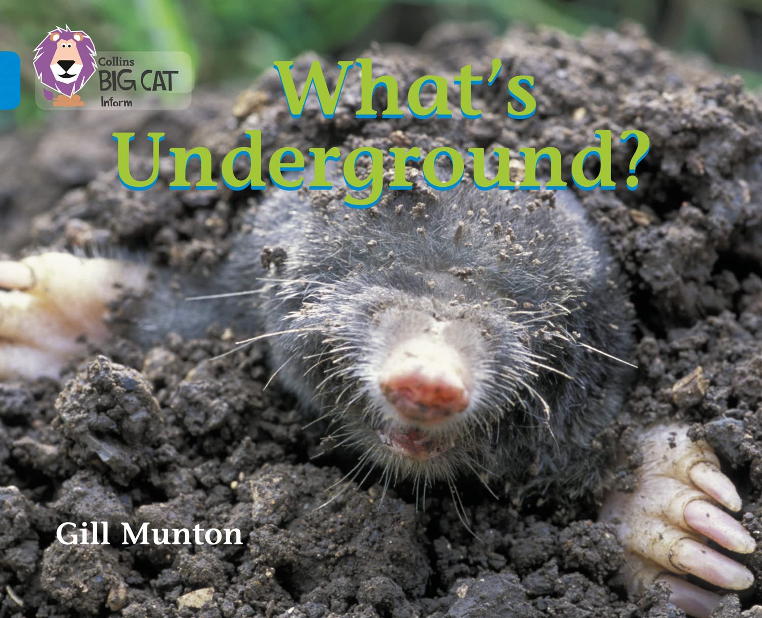 What’s Underground Band 04/Blue by Gill Munton (Paperback Book)