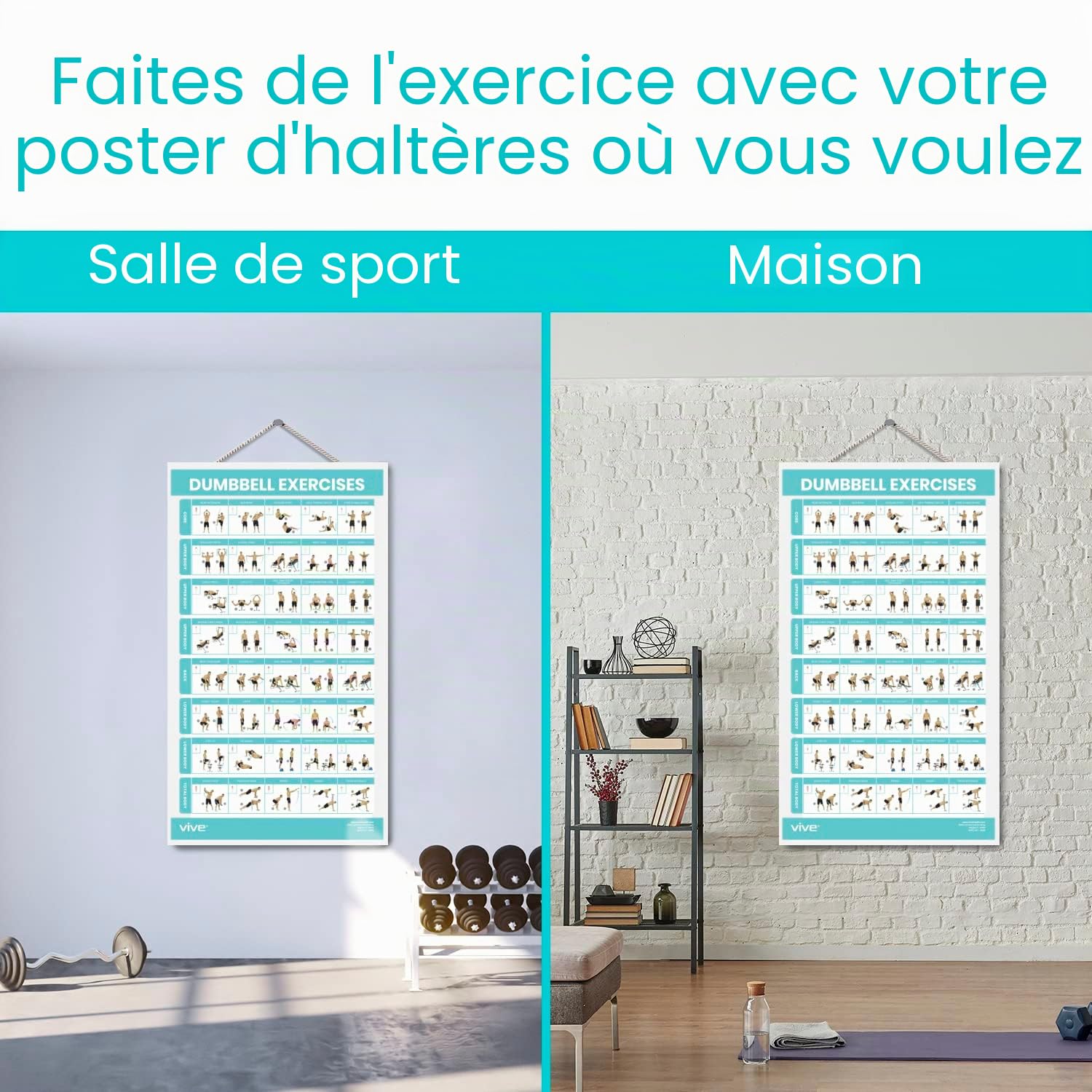 Vive Affiche d'exercices d'haltères Entraînement à domicile pour le haut, le bas et le corps - Tableau de poids corporel plastifié pour le dos, les bras, le tronc et les jambes (76,2 x 43,2 cm)