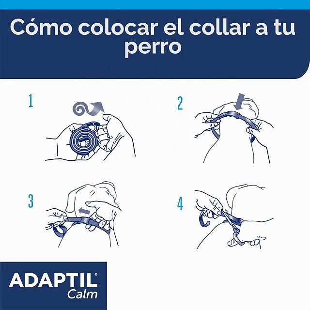 Foto 6 de 8 de ADAPTIL Collar tranquilo para llevar