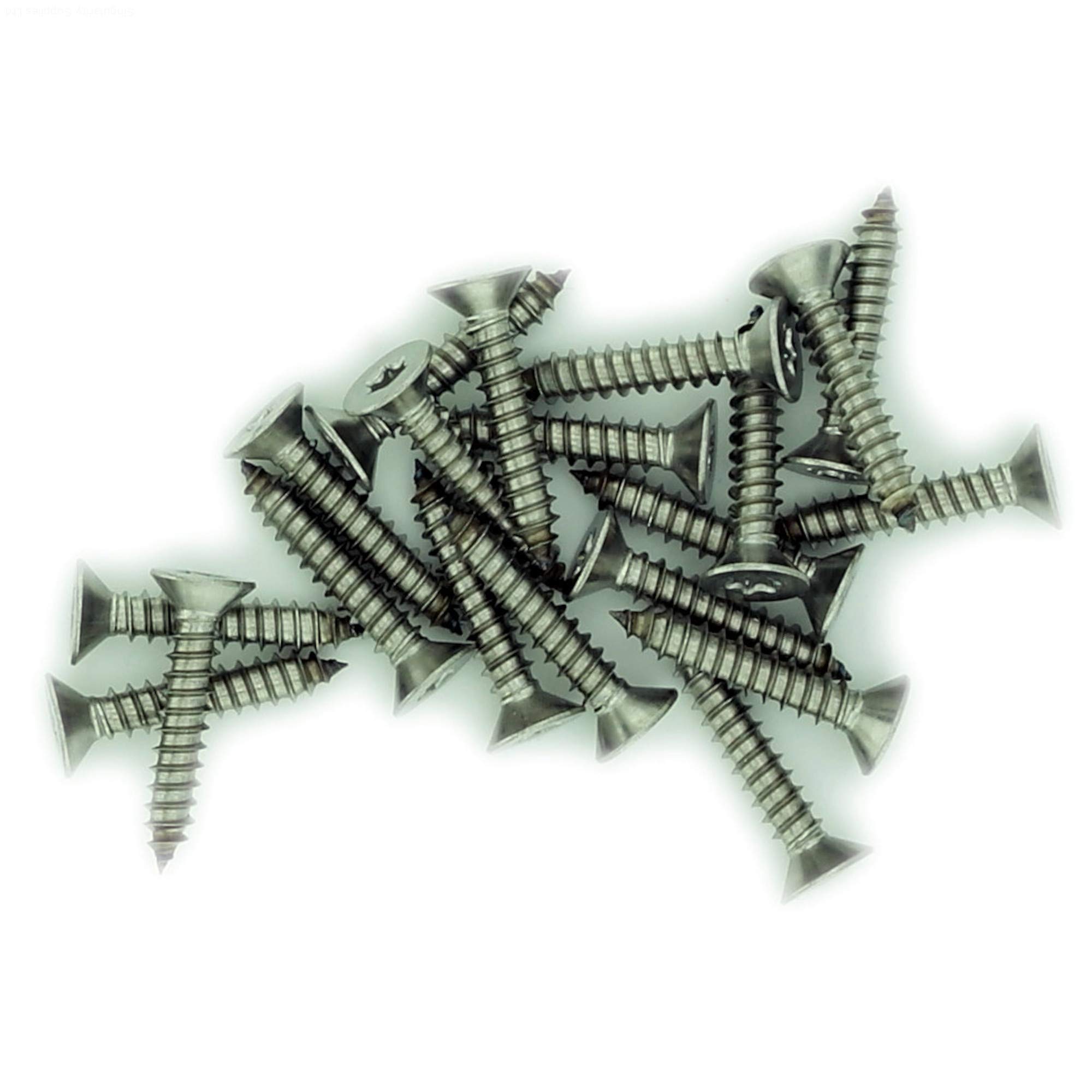 Singularity Supplies Silver No.6 X 0.875 (3.5Mm X 22Mm) Tx Countersunk Self-Tapping Screw - Stainless Steel (A2) (Pack Of 20)