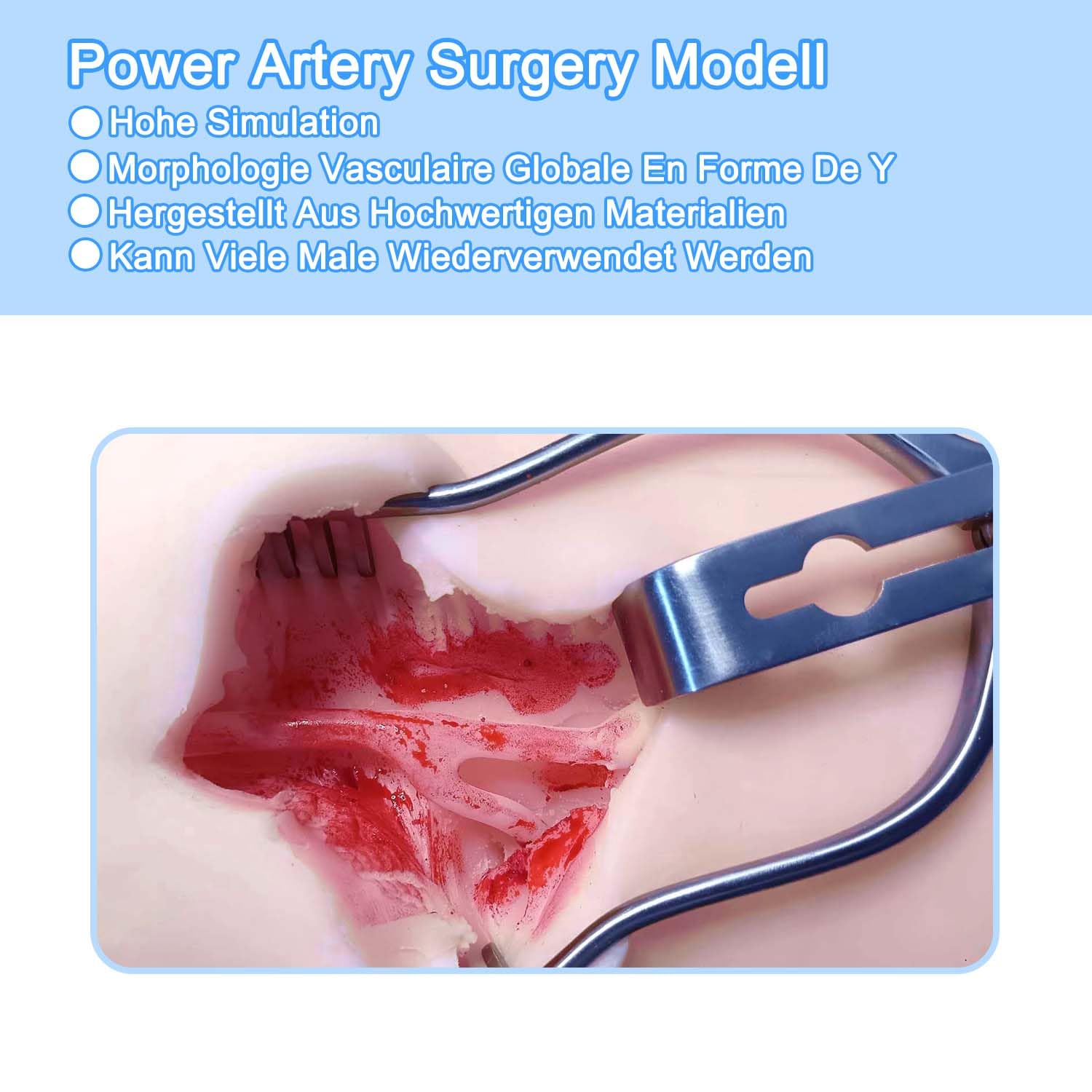 Carotid Artery Surgical Model – Vascular Surgery Training Simulator, Medical Phantom for Anatomy Teaching, Realistic Carotid Procedure Practice Model for Medical Students and Professionals