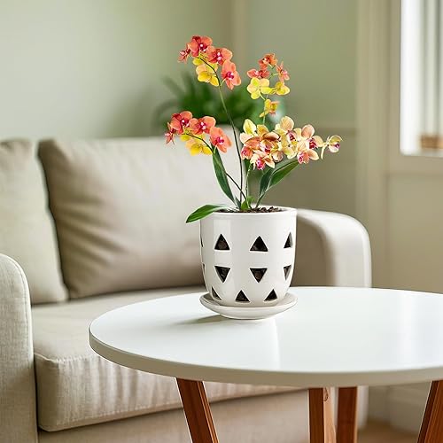 Miniatura 2 de Aulock Maceta de cerámica para orquídeas de 6 pulgadas con agujeros, maceta hueca de cerámica triangular decorativa, excelente circulación de aire,