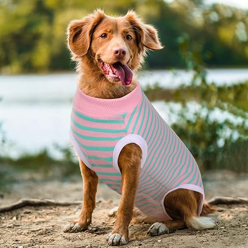 Miniatura 8 de Traje de recuperación para perro, pijama quirúrgica para cachorros, body para perros y gatos después de la esterilización, vendas para heridas