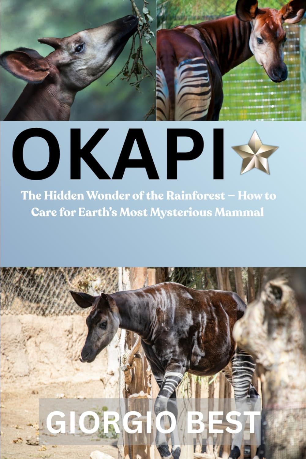 OKAPI: The Hidden Wonder of the Rainforest – How to Care for Earth’s Most Mysterious Mammal