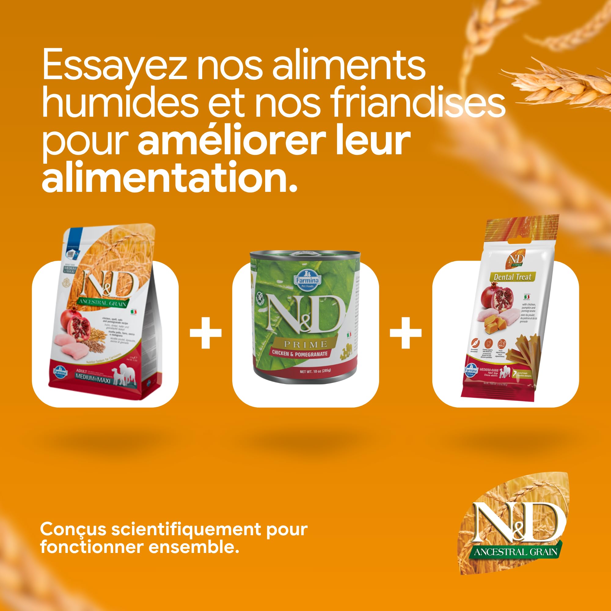 N&D Ancestral Grain Selection pour Chien Adulte Moyennes & Grandes Races 15kg