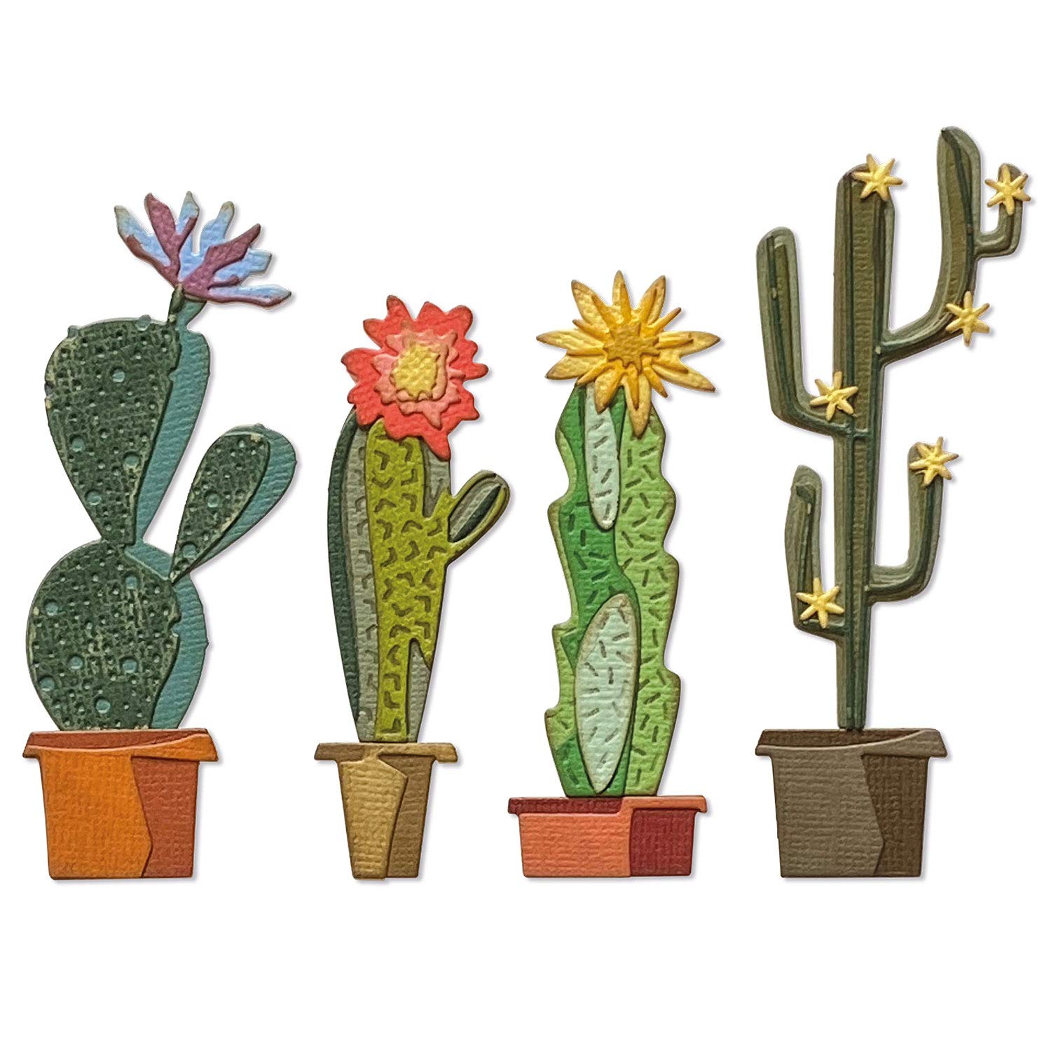 Amazon.com: Sizzix Thinlits Die Set 9PK Funky Cactus by Tim Holtz
