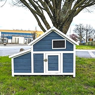 Animal Valley Poulailler Bantam XL Bleu Toit Shingle 2 à 4 Poules