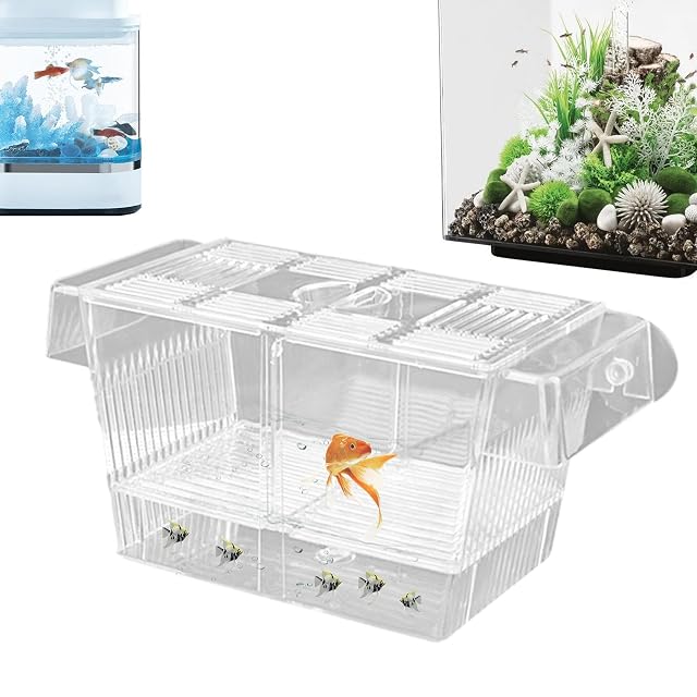 Neamou Caja de cría para pecera - Divisor de pecera de acrílico para incubadora de incubadora,Caja de cría…